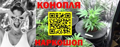 каннабис Будённовск