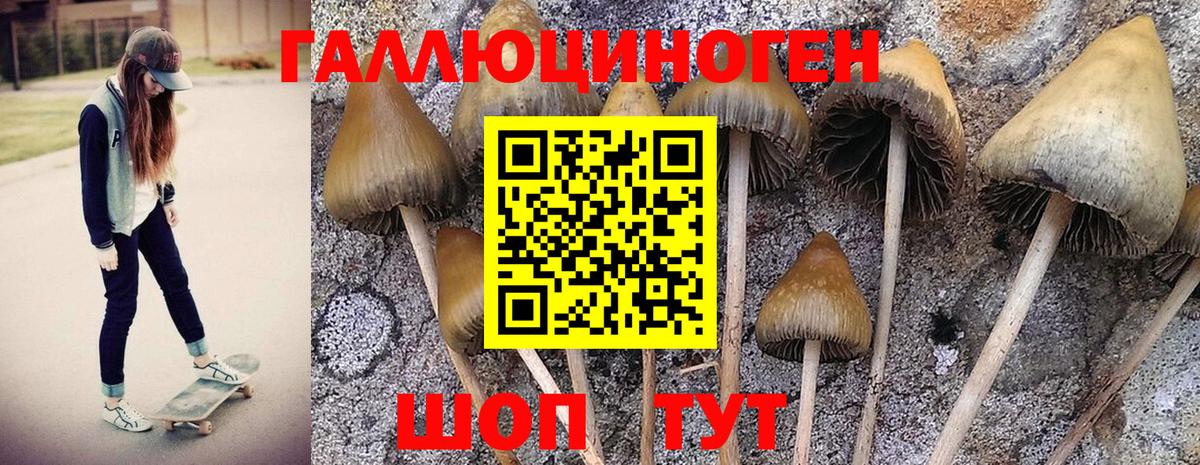 Галлюциногенные грибы Psilocybe  Вход с VPN  Псилоцибиновые грибы мицелий  наркошоп  Самара 