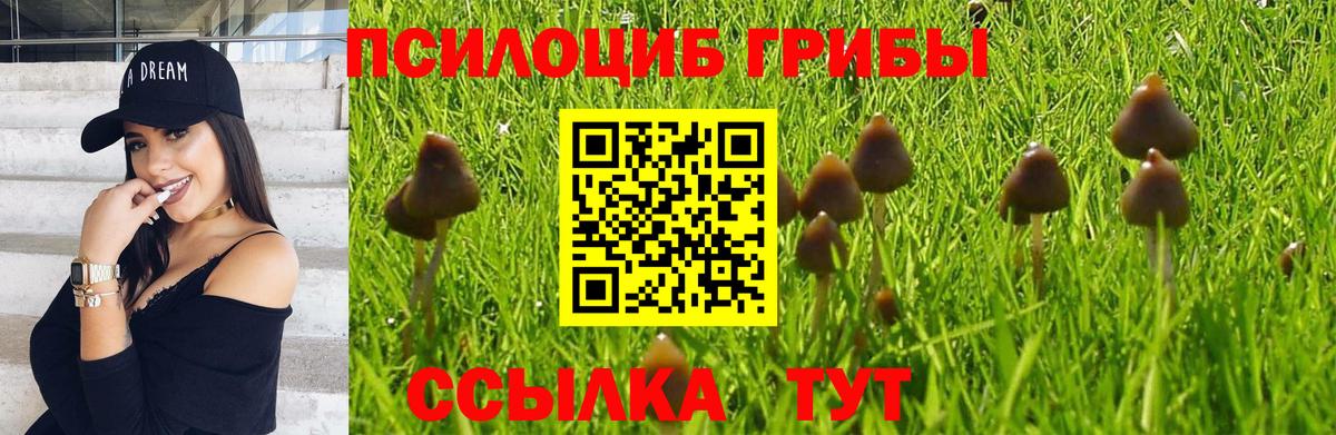 Псилоцибиновые грибы MAGIC MUSHROOMS Самара
